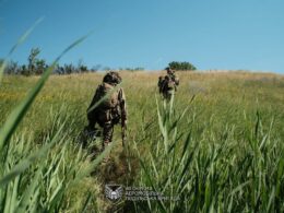 46th Air Mobile Brigade in training.