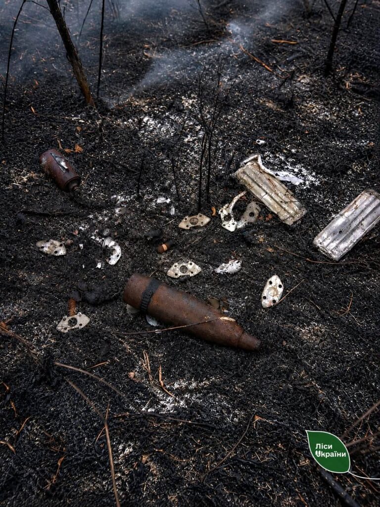 Munition debris lies in the ash after a forest fire in Ukraine, September 2026