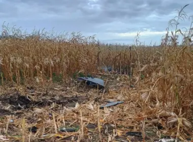 Scattered debris and a scorched patch of ground in a cornfield beneath a cloudy sky.