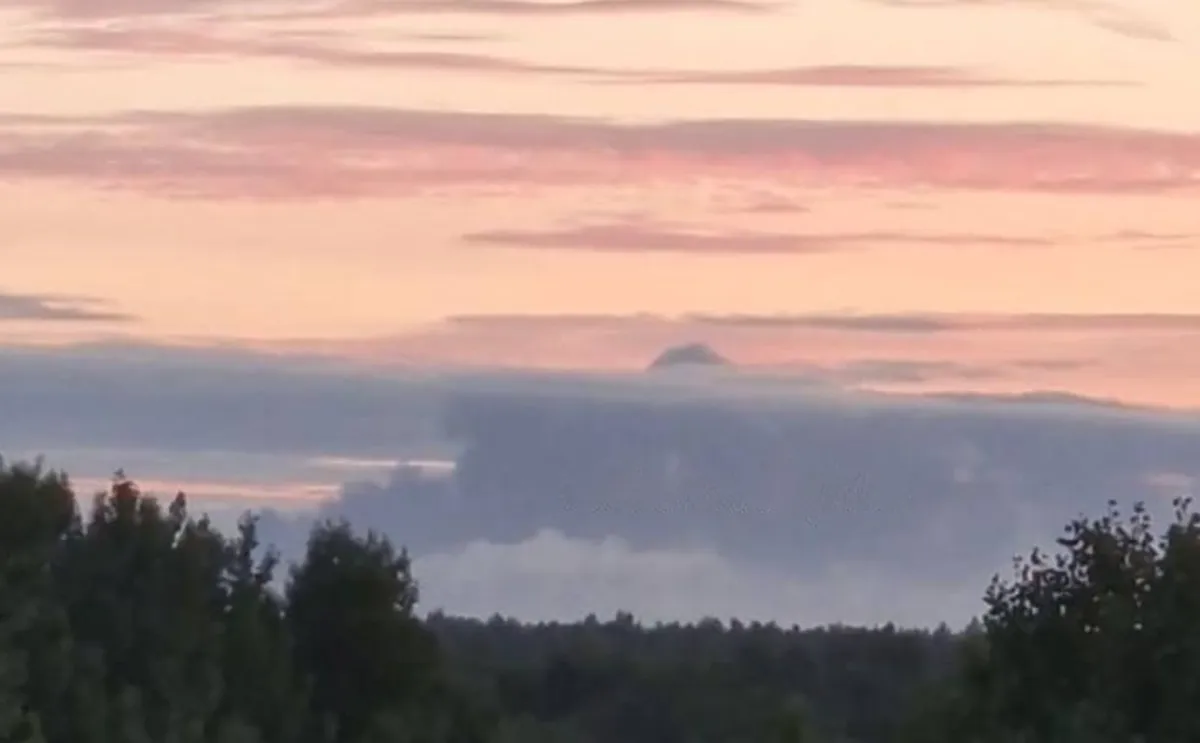 A thick gray plume of smoke rises above a distant tree line beneath a pink early-morning sky.