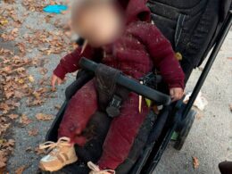 russian drone kills six kharkiv oblast park including mother 14-month-old stroller hours later ukraine shows photos senators · post anhelina killed attack inna died hospital 19 2026 nova vodolaha killed_in_kharkiv_oblast